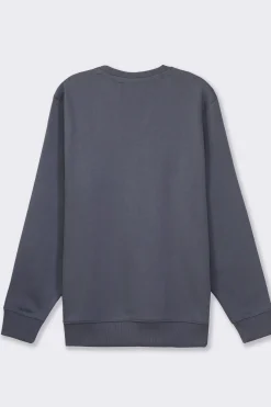 Uomo Piazza Italia Uomo|Felpe<Felpa basic regular fit in misto cotone garzato - Avion