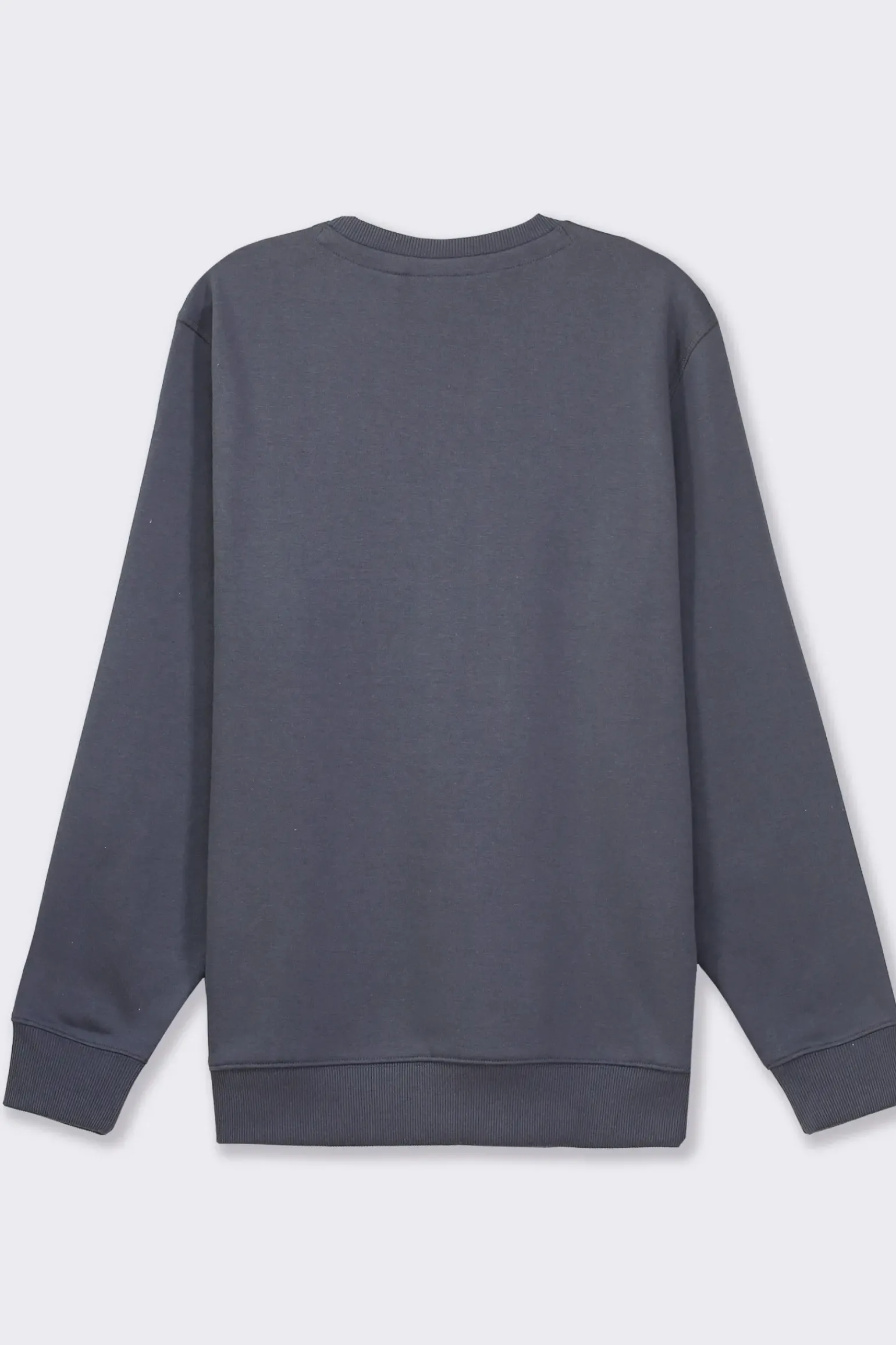 Uomo Piazza Italia Uomo|Felpe<Felpa basic regular fit in misto cotone garzato - Avion