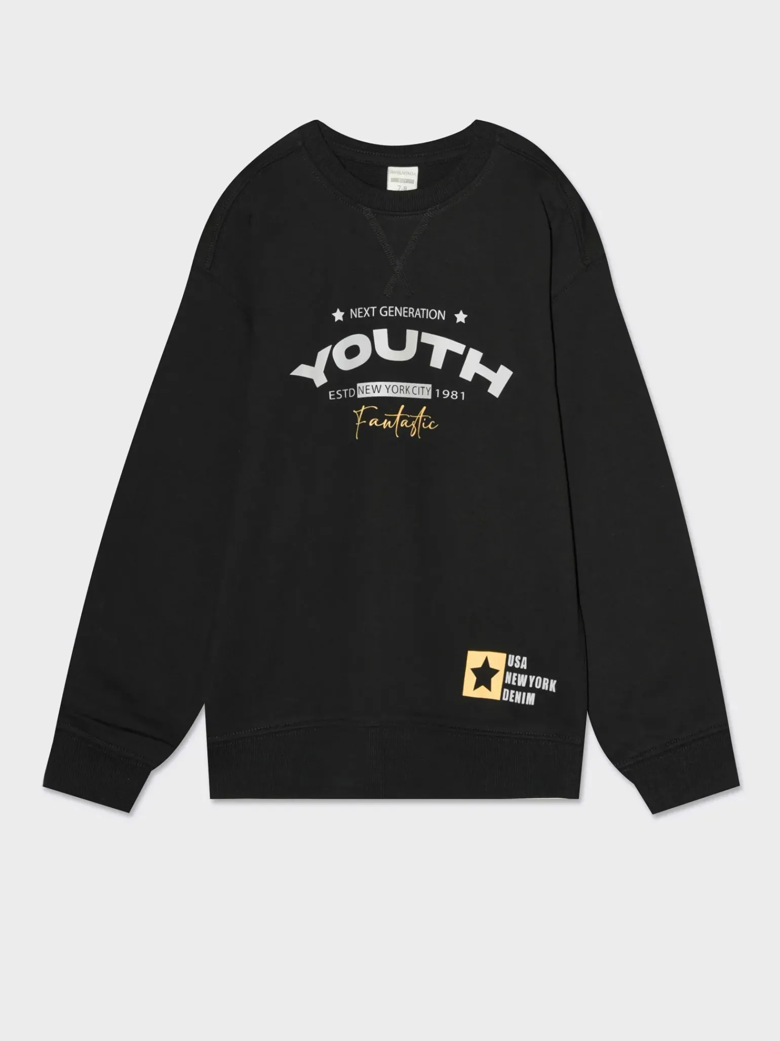 Bambino Piazza Italia Bambino|Felpe<Felpa girocollo con stampa davanti e costina al fondo, disponibile in 4 varianti colore -