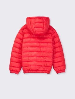 Bambino Piazza Italia Bambino<GIUBOTTO ULTRALIGHT FULL ZIP -