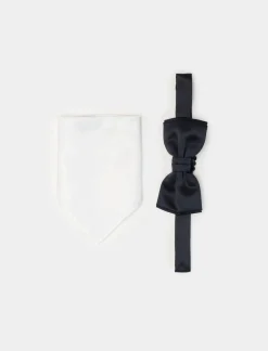 Uomo Piazza Italia Uomo|Cravatte E Papillon<Set papillon con pochette da uomo - -blu