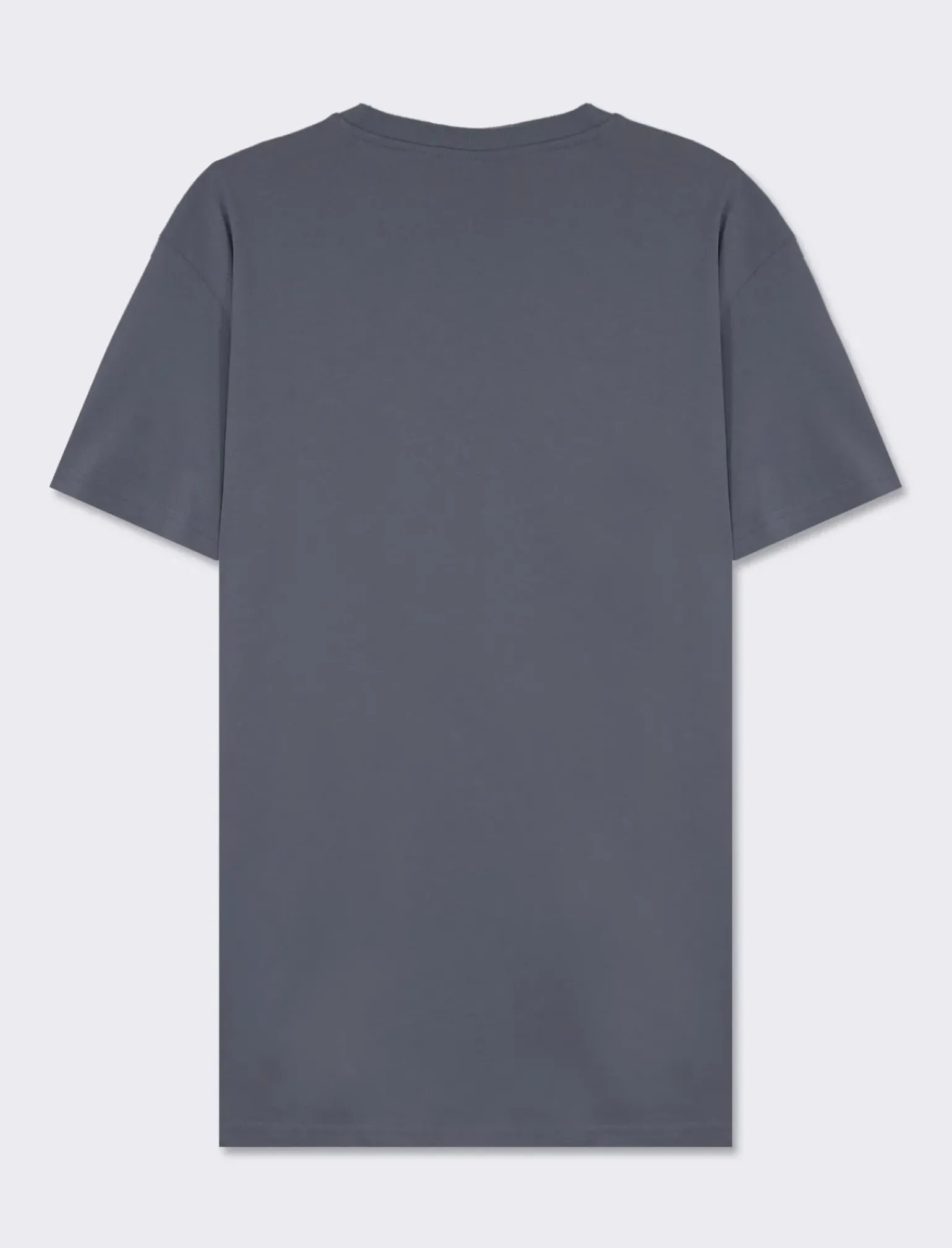 Uomo Piazza Italia Uomo|Polo E T-Shirt<T-shirt girocollo con stampa a contrasto sulle maniche regular fit - Avion