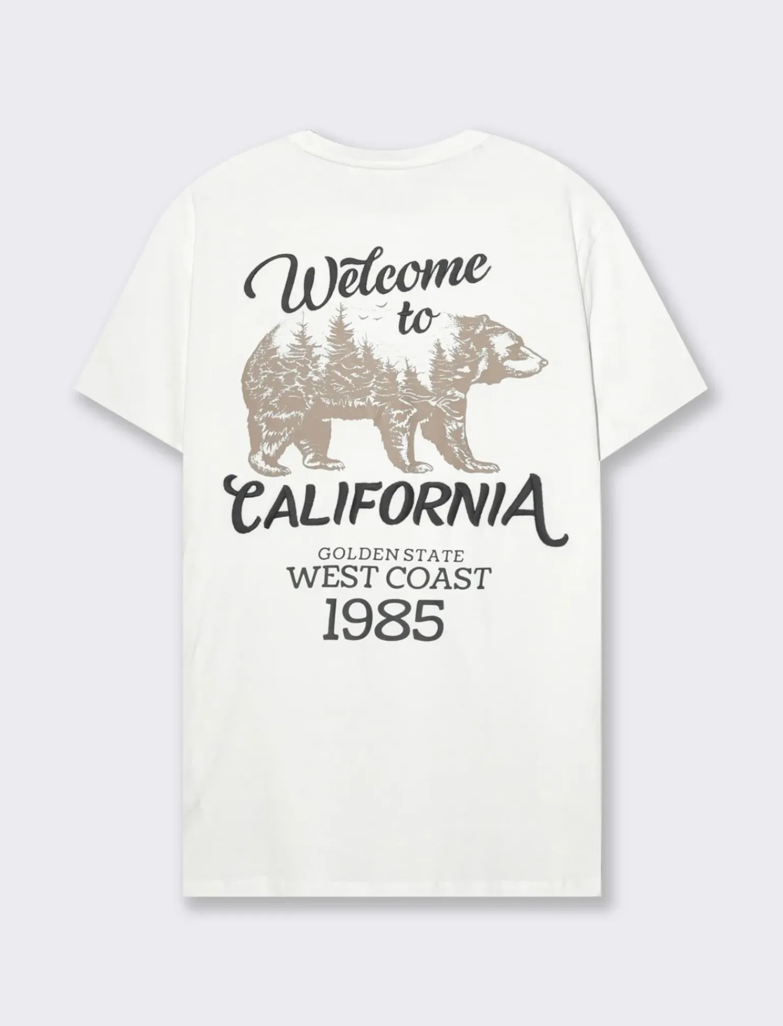 Uomo Piazza Italia Polo E T-Shirt<T-shirt girocollo maniche corte regular fit -