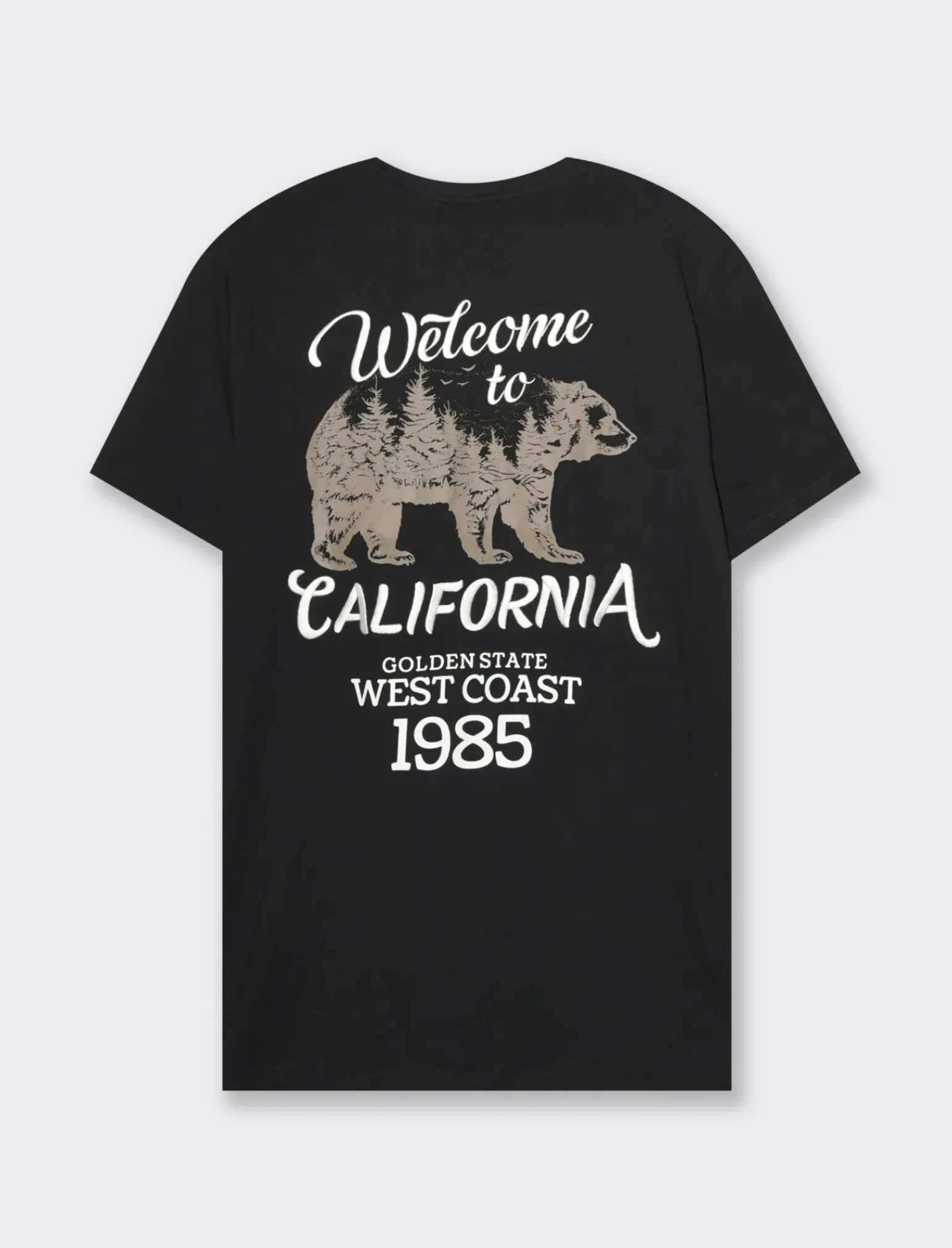 Uomo Piazza Italia Polo E T-Shirt<T-shirt girocollo maniche corte regular fit -